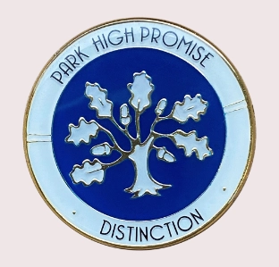 hard enamel pin