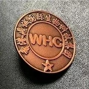 Zulaya Habib - Dubai