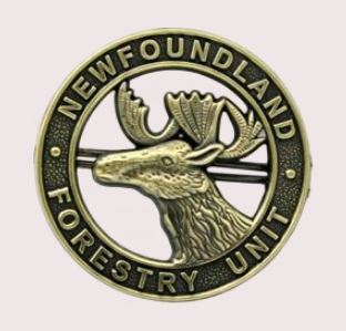 custom 3D lapel pins