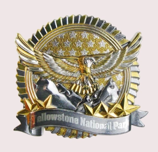 custom 3D lapel pins