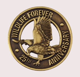 custom 3D lapel pins