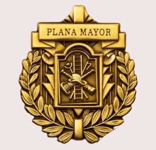 custom 3D lapel pins