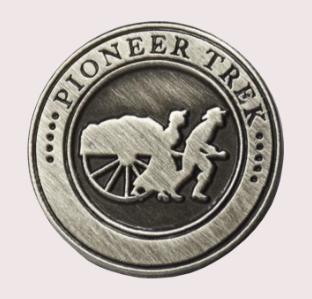 custom 3D lapel pins